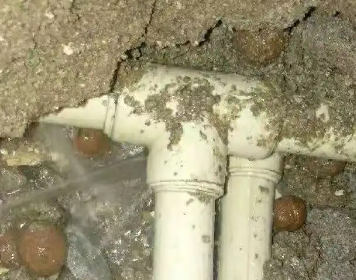 苍南测漏水多少钱