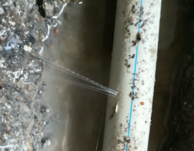 苍南测漏水哪家好